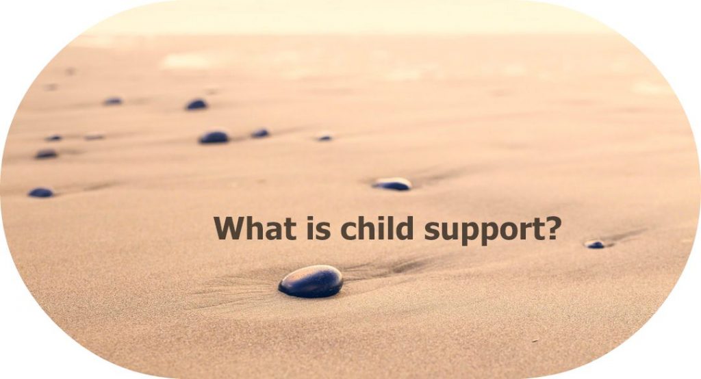 what is child support meant to pay for
