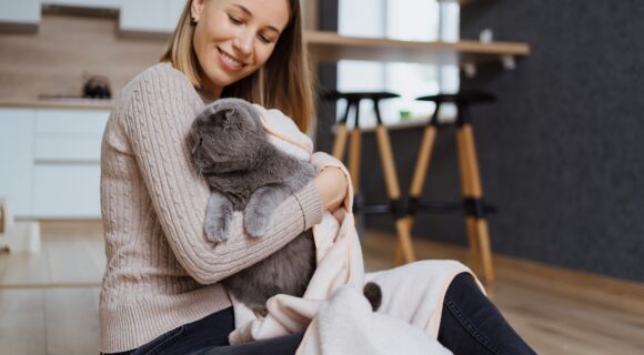Pet Parent caring cat Pet Parent caring cat